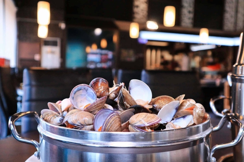 2018-10-20 03.52.09 3.jpg