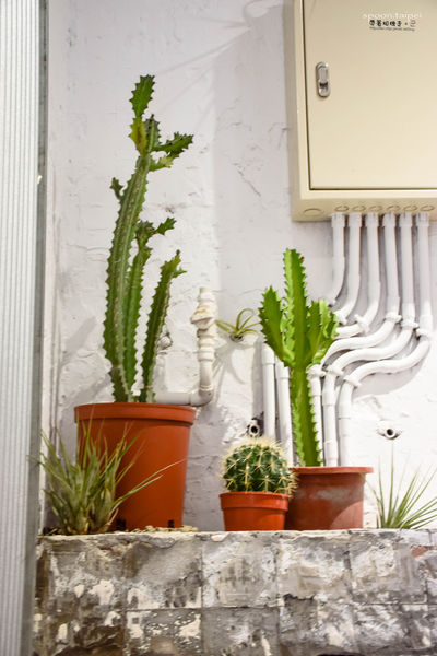 DSC_0024.jpg DSC_0024.jpg