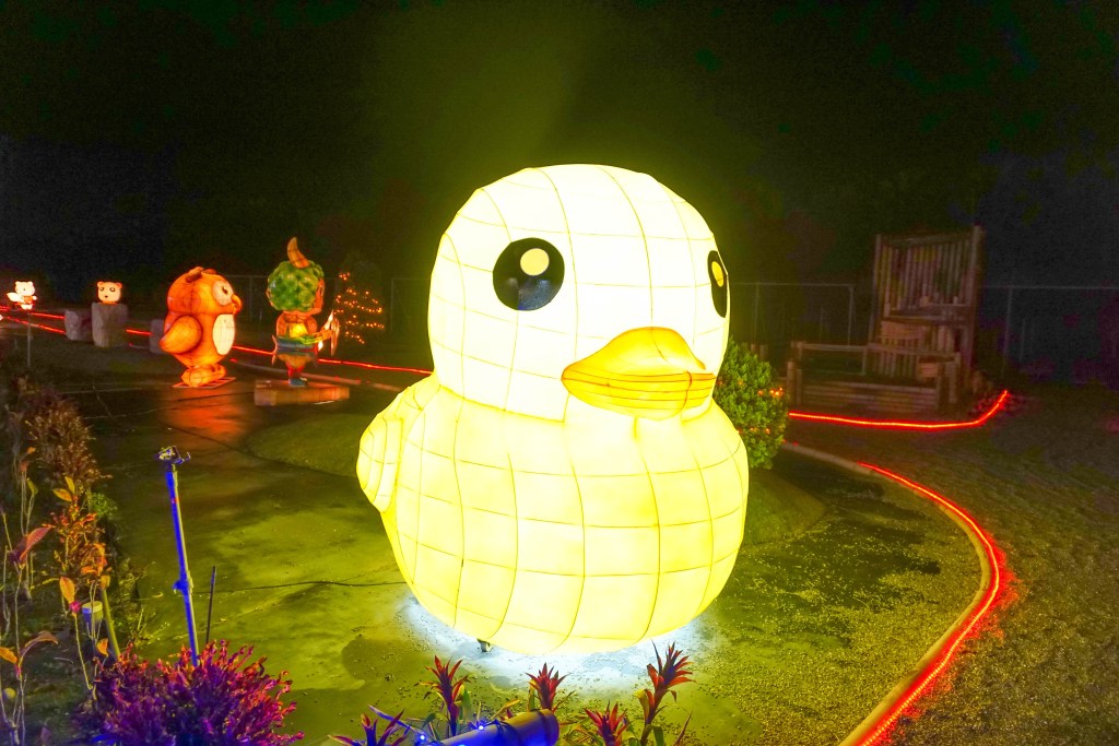 2018花在彰化(夜間燈會搶先看)溪州公園玩全攻略：一次玩透123公頃大公園,繽紛浪漫馬車,發光玫瑰,愛心倒影,超美油紙傘,2/7兩小時試燈千萬別錯過。