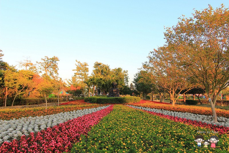 2017花在彰化溪州公園 223