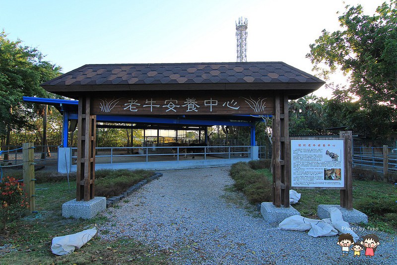 2017花在彰化溪州公園 186