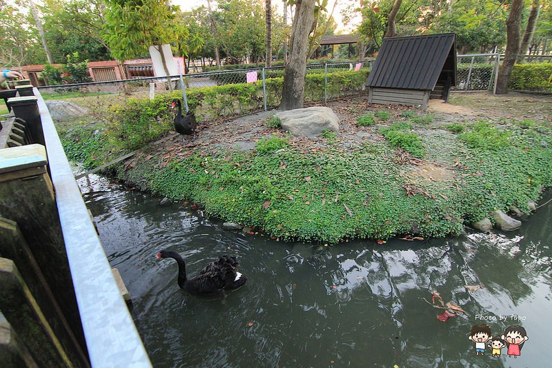 2017花在彰化溪州公園 261