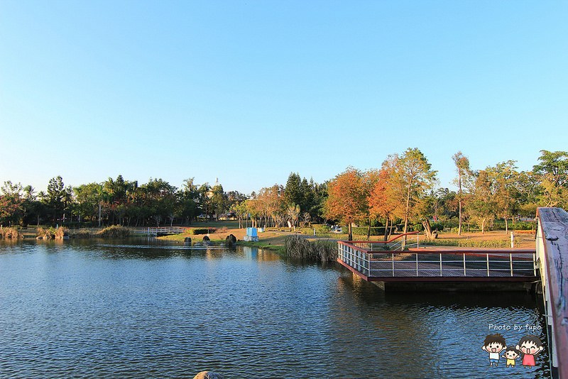 2017花在彰化溪州公園 176