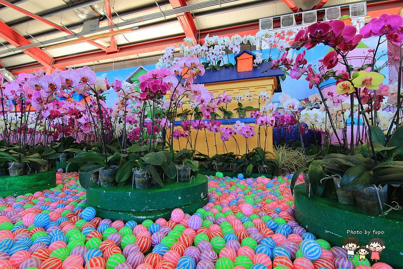 2017花在彰化溪州公園 059