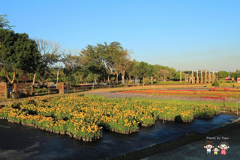 2017花在彰化溪州公園 155