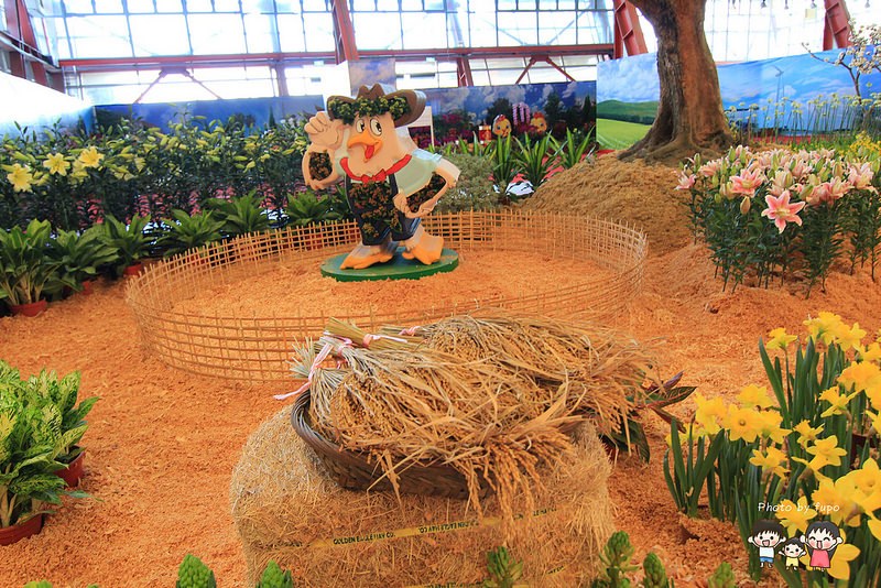 2017花在彰化溪州公園 076