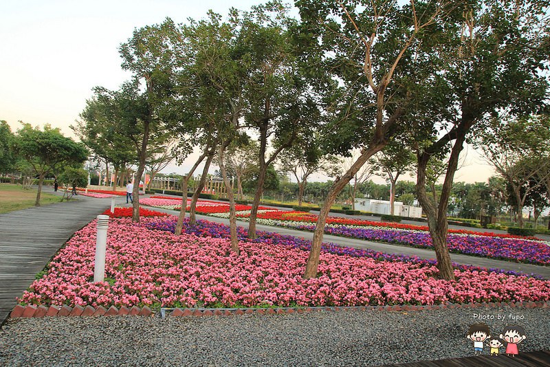 2017花在彰化溪州公園 272