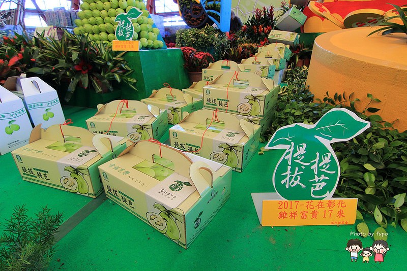 2017花在彰化溪州公園 071