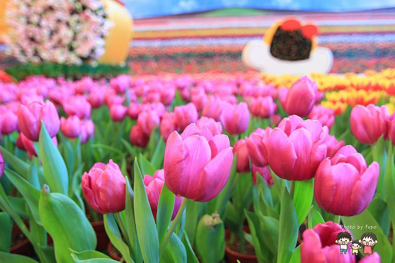 2017花在彰化溪州公園 040