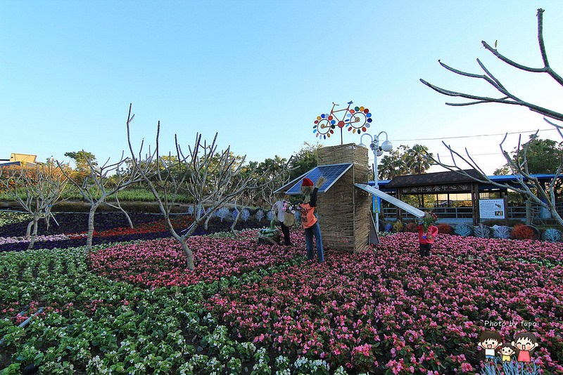 2017花在彰化溪州公園 190