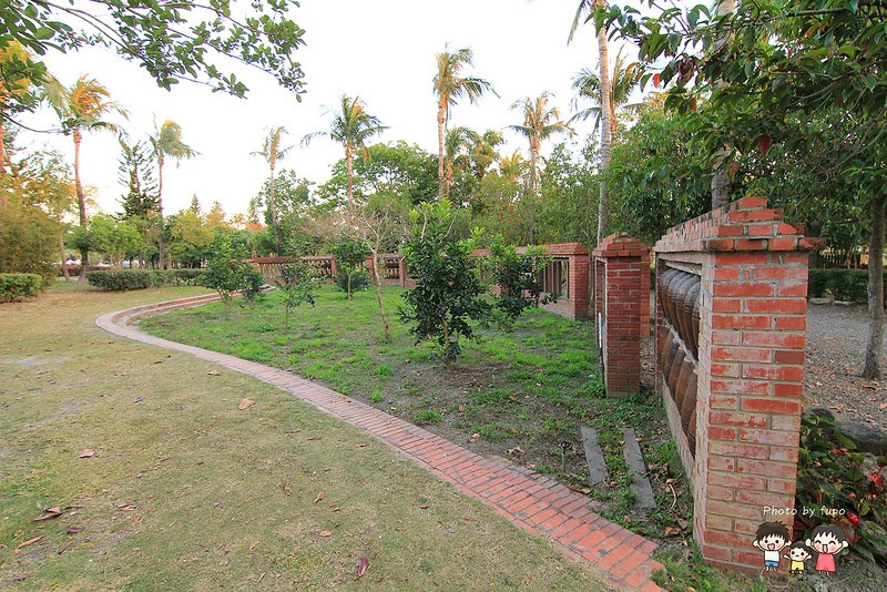 2017花在彰化溪州公園 255