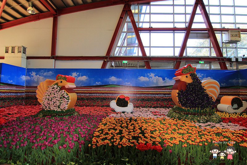 2017花在彰化溪州公園 033