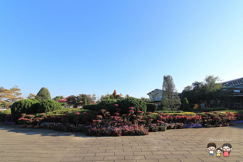 2017花在彰化溪州公園 016