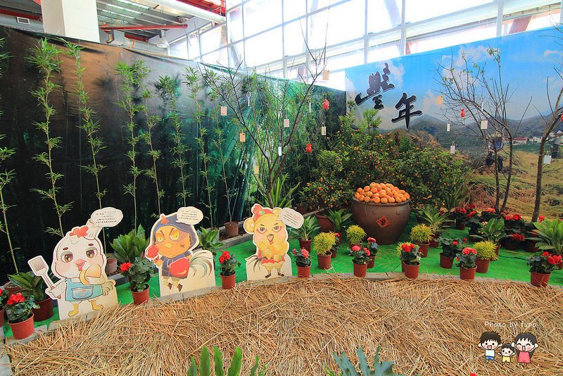 2017花在彰化溪州公園 105