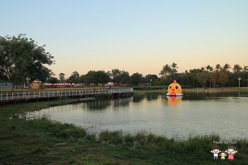 2017花在彰化溪州公園 271
