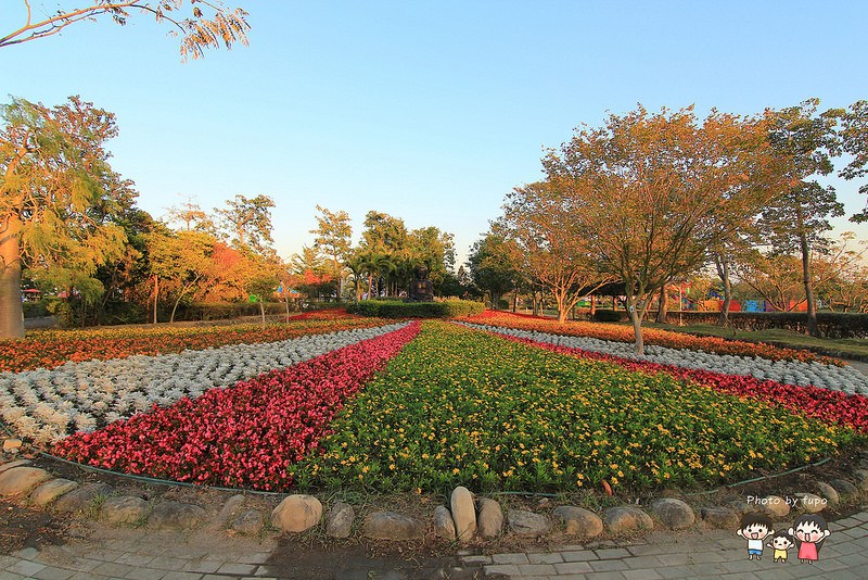 2017花在彰化溪州公園 222