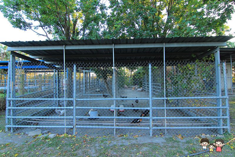 2017花在彰化溪州公園 183