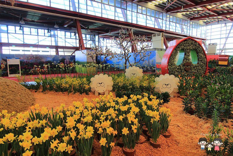 2017花在彰化溪州公園 077