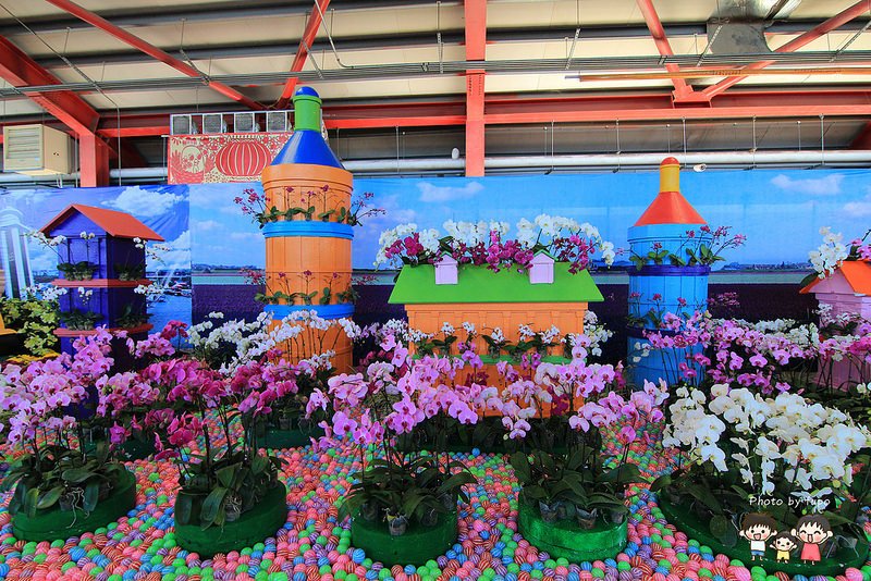 2017花在彰化溪州公園 055