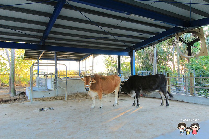 2017花在彰化溪州公園 187
