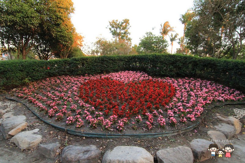 2017花在彰化溪州公園 241