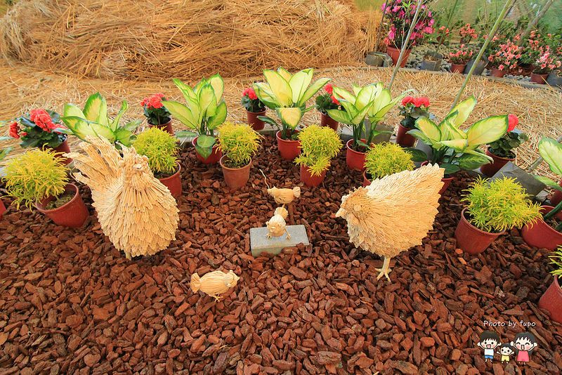 2017花在彰化溪州公園 099