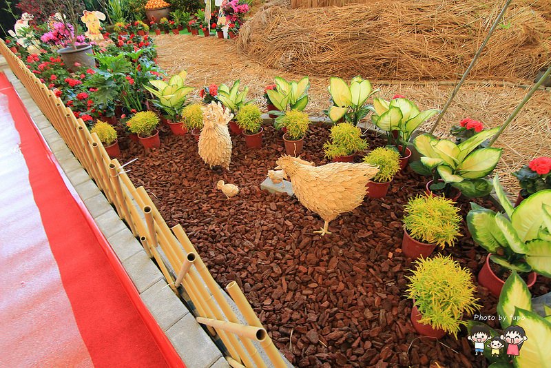 2017花在彰化溪州公園 103