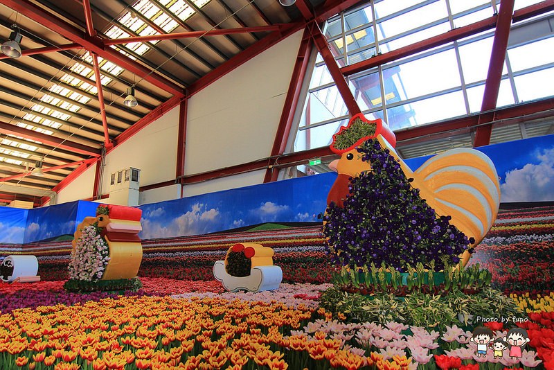 2017花在彰化溪州公園 035