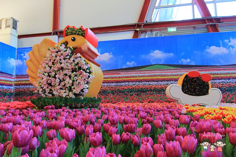 2017花在彰化溪州公園 039