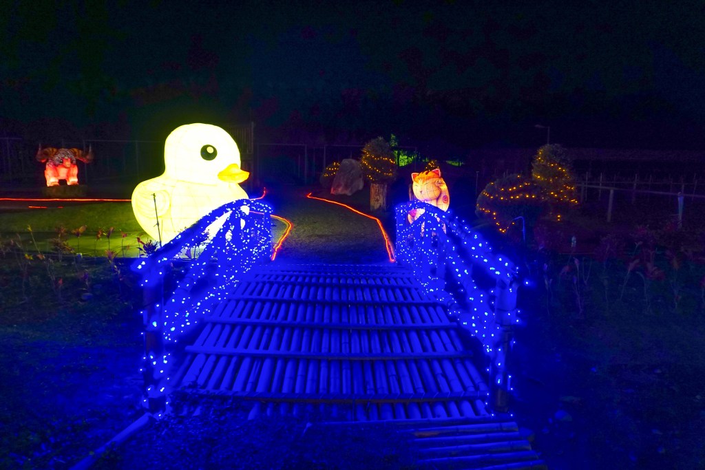 2018花在彰化(夜間燈會搶先看)溪州公園玩全攻略：一次玩透123公頃大公園,繽紛浪漫馬車,發光玫瑰,愛心倒影,超美油紙傘,2/7兩小時試燈千萬別錯過。