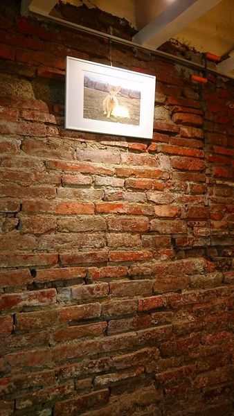 27545484_1773076516057363_982783247509050538_n