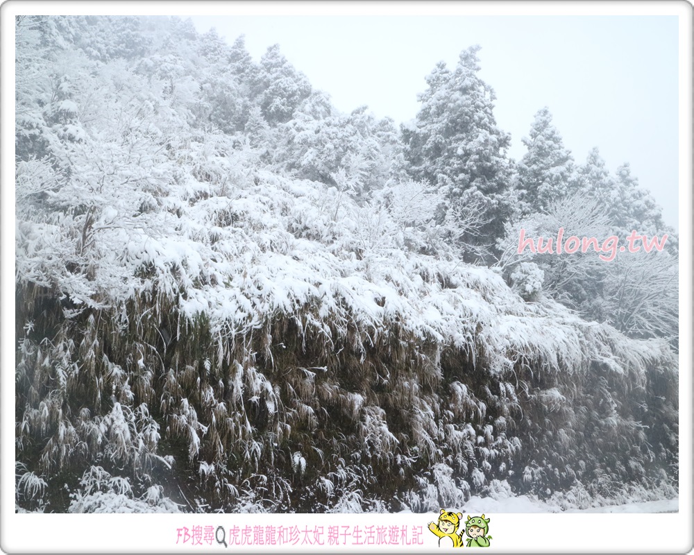 【太平山森林遊樂區下雪】燒水巷泡溫泉.煮玉米一次享受 宜蘭一日遊.二日遊! - 虎虎龍龍*珍太妃