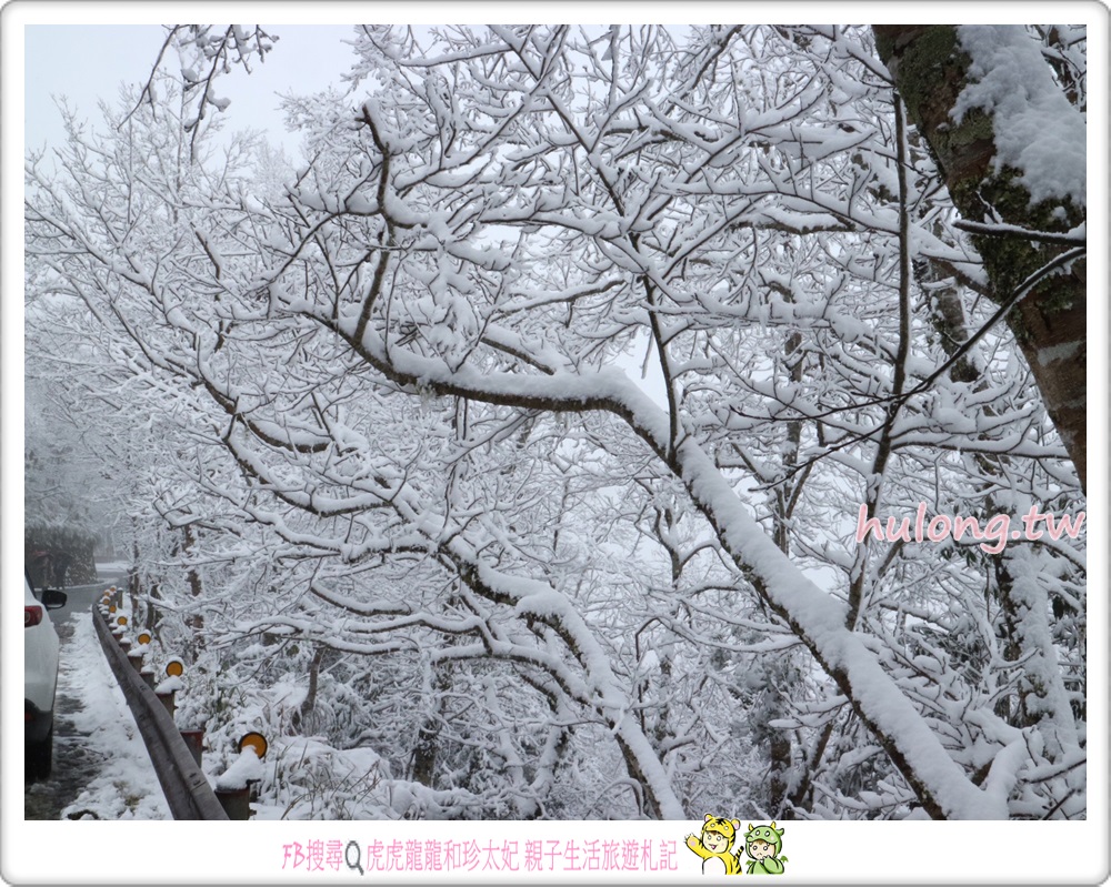 【太平山森林遊樂區下雪】燒水巷泡溫泉.煮玉米一次享受 宜蘭一日遊.二日遊! - 虎虎龍龍*珍太妃
