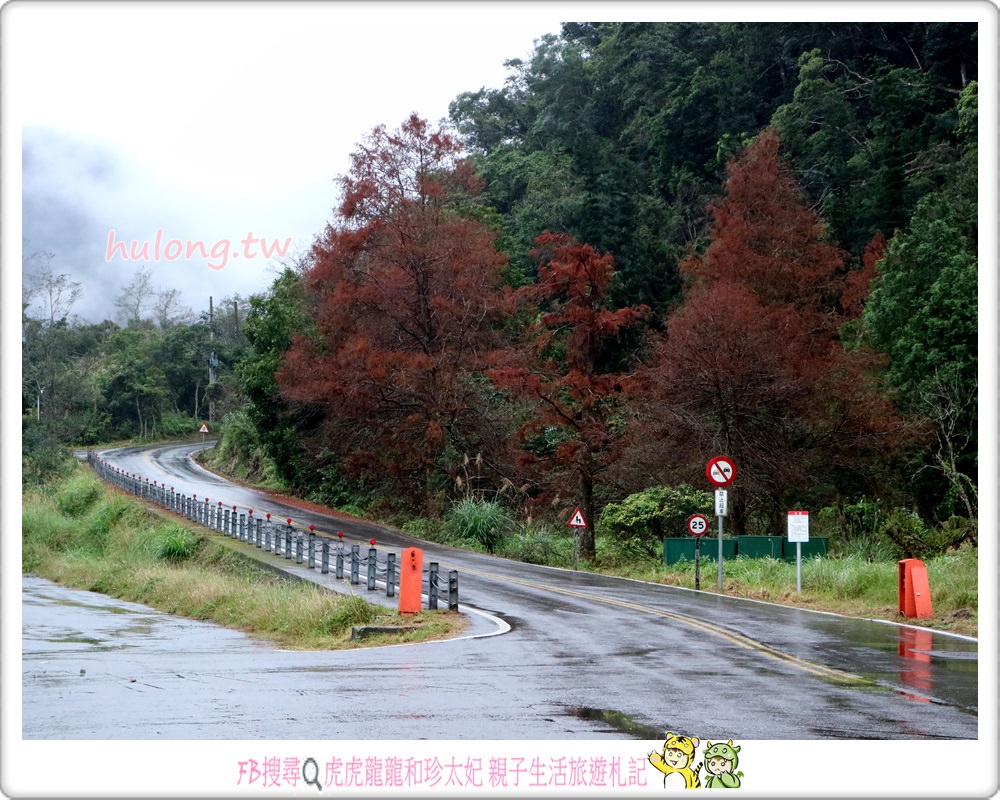 【太平山森林遊樂區下雪】燒水巷泡溫泉.煮玉米一次享受 宜蘭一日遊.二日遊! - 虎虎龍龍*珍太妃