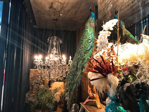 20180401_Snapseed (19).jpg