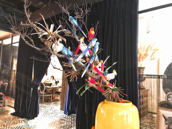 20180401_Snapseed (20).jpg