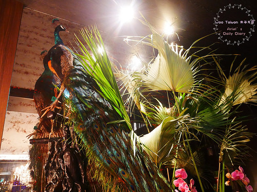【台中美食】Woo Taiwan 米平方店 ✿ 超紅網美必訪店，叢林裡享受道地泰式料理