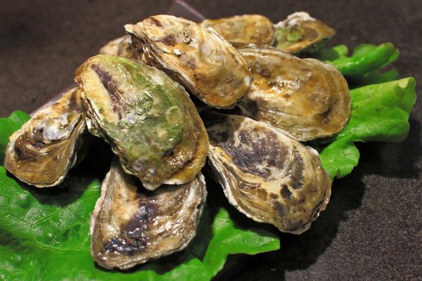 【板橋美食】愛烤愛對囉-全台北CP值最高的燒烤吃到飽