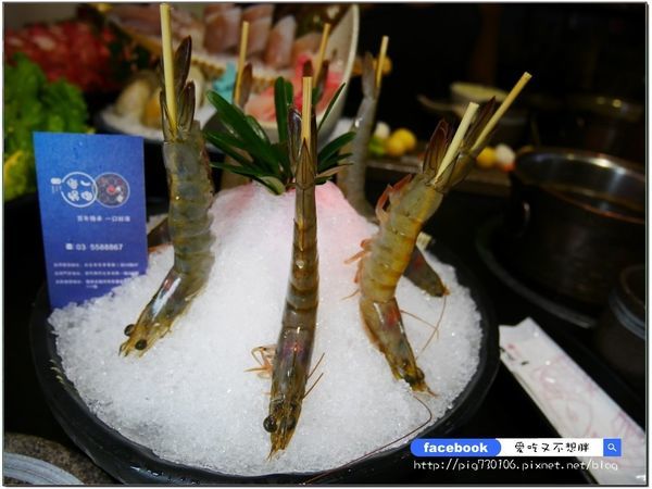 P3390433.JPG P3390433.JPG