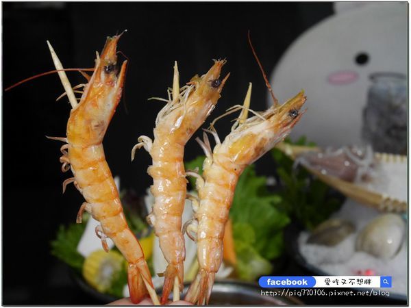 P3390673.JPG P3390673.JPG