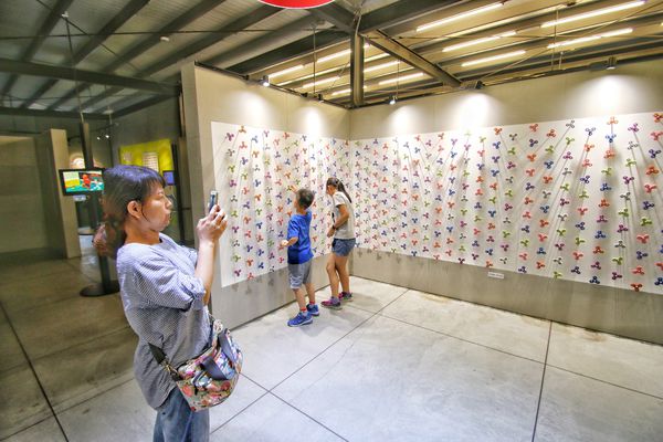 【宜蘭景點】陀陀螺 TOTOLO 指尖陀螺館 宜蘭親子景點 全球首間的指尖陀螺主題館