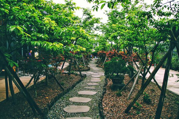 【宜蘭景點】陀陀螺 TOTOLO 指尖陀螺館 宜蘭親子景點 全球首間的指尖陀螺主題館