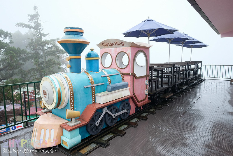 南投景點,南投親子景點,好玩,小火車,清境景點,清境美食,清境親子景點,紙箱王清境,紙箱王清境店,紙箱王菜單,紙箱王評價,紙箱王門票,親子景點,門票 @強生與小吠的Hyper人蔘~