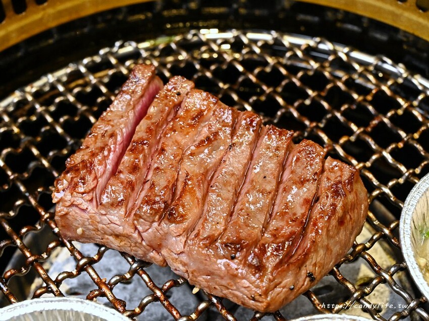 台中市南屯區肉肉燒肉｜台中寵物友善燒肉餐廳，除了美味燒肉，還有特色寵物餐點