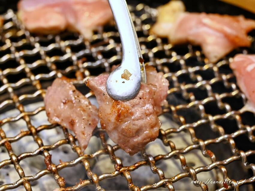 台中市南屯區肉肉燒肉｜台中寵物友善燒肉餐廳，除了美味燒肉，還有特色寵物餐點