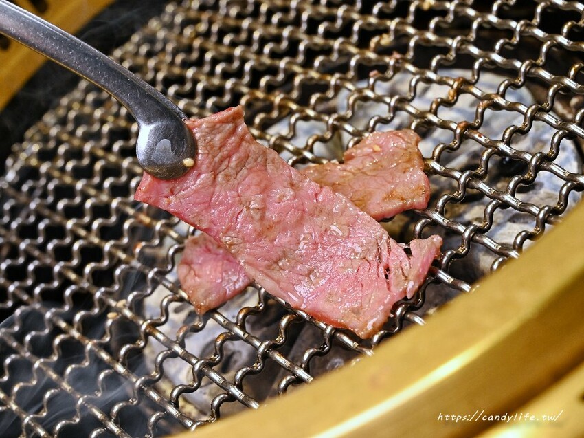 台中市南屯區肉肉燒肉｜台中寵物友善燒肉餐廳，除了美味燒肉，還有特色寵物餐點