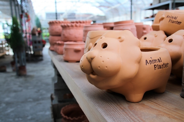 埔茂花市：【彰化芬園景點】埔茂花市~幸福花園咖啡，多肉植物及園藝造景，噴水池木藝造景好拍，DIY盆器，溜滑梯，盪鞦韆和戲沙池，親子遊趴趴GO