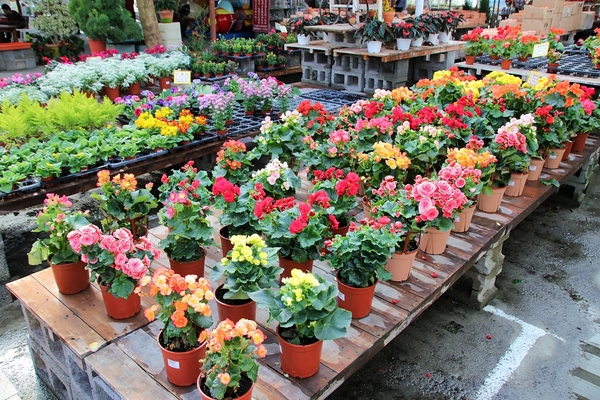 埔茂花市：【彰化芬園景點】埔茂花市~幸福花園咖啡，多肉植物及園藝造景，噴水池木藝造景好拍，DIY盆器，溜滑梯，盪鞦韆和戲沙池，親子遊趴趴GO