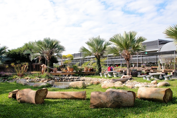 埔茂花市：【彰化芬園景點】埔茂花市~幸福花園咖啡，多肉植物及園藝造景，噴水池木藝造景好拍，DIY盆器，溜滑梯，盪鞦韆和戲沙池，親子遊趴趴GO