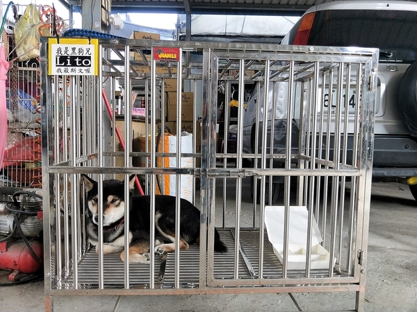 埔茂花市：【彰化芬園景點】埔茂花市~幸福花園咖啡，多肉植物及園藝造景，噴水池木藝造景好拍，DIY盆器，溜滑梯，盪鞦韆和戲沙池，親子遊趴趴GO